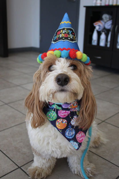 Birthday / Gotcha Day Cakes