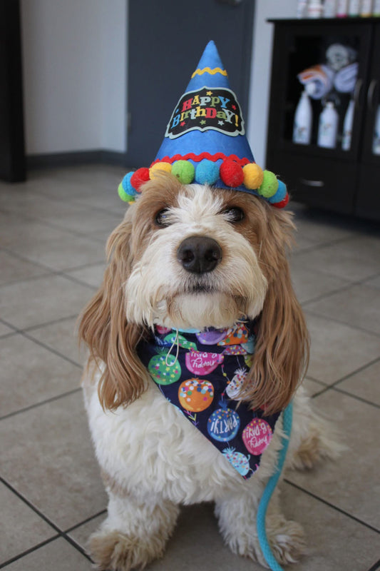 Birthday / Gotcha Day Cakes