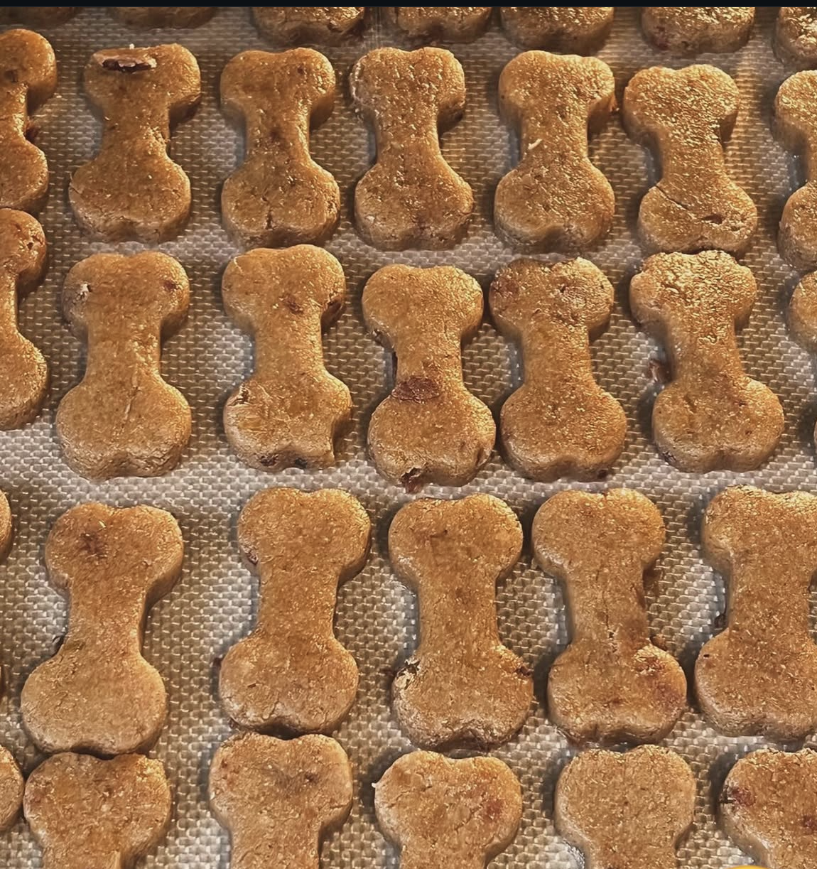 BISCUITS
