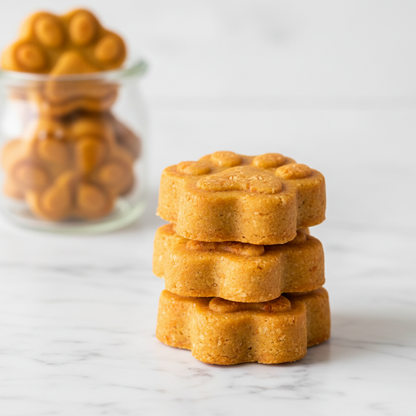 cheese dog treat